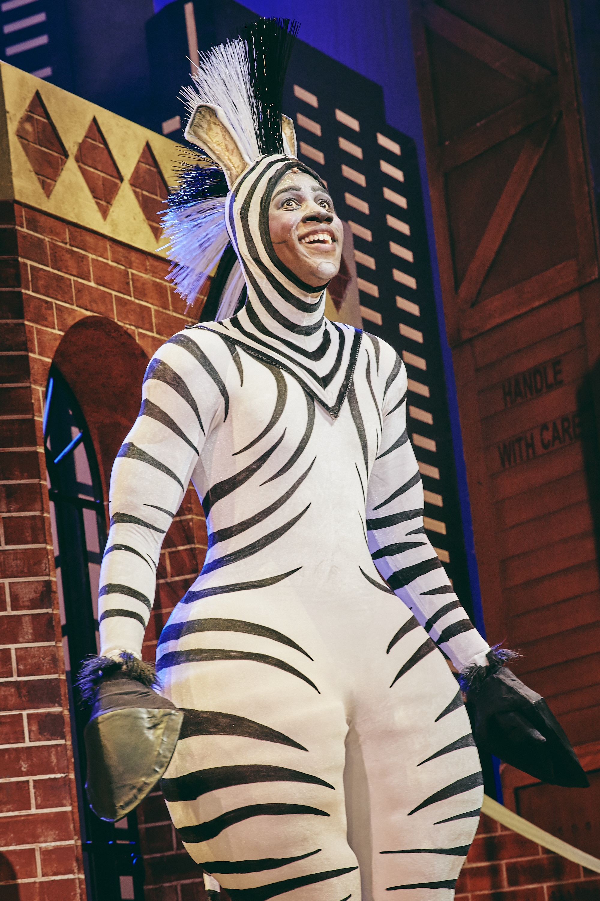 Marty the Zebra looking up smiling
