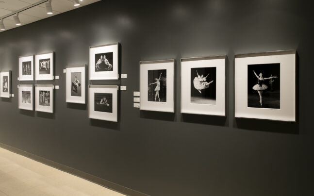 wall shot of Steven Caras Photography display