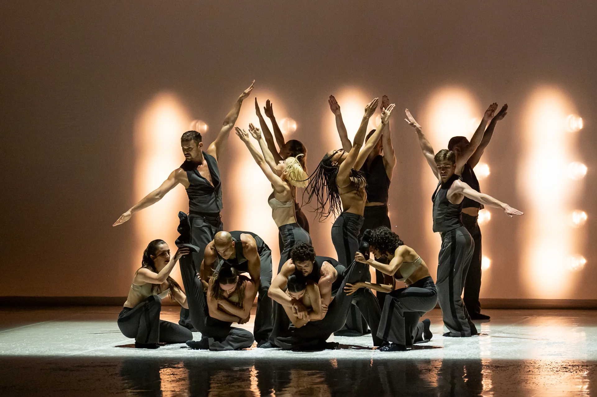 The ballet company in black and gold posing some crouching and some with their arms extended in soft light.