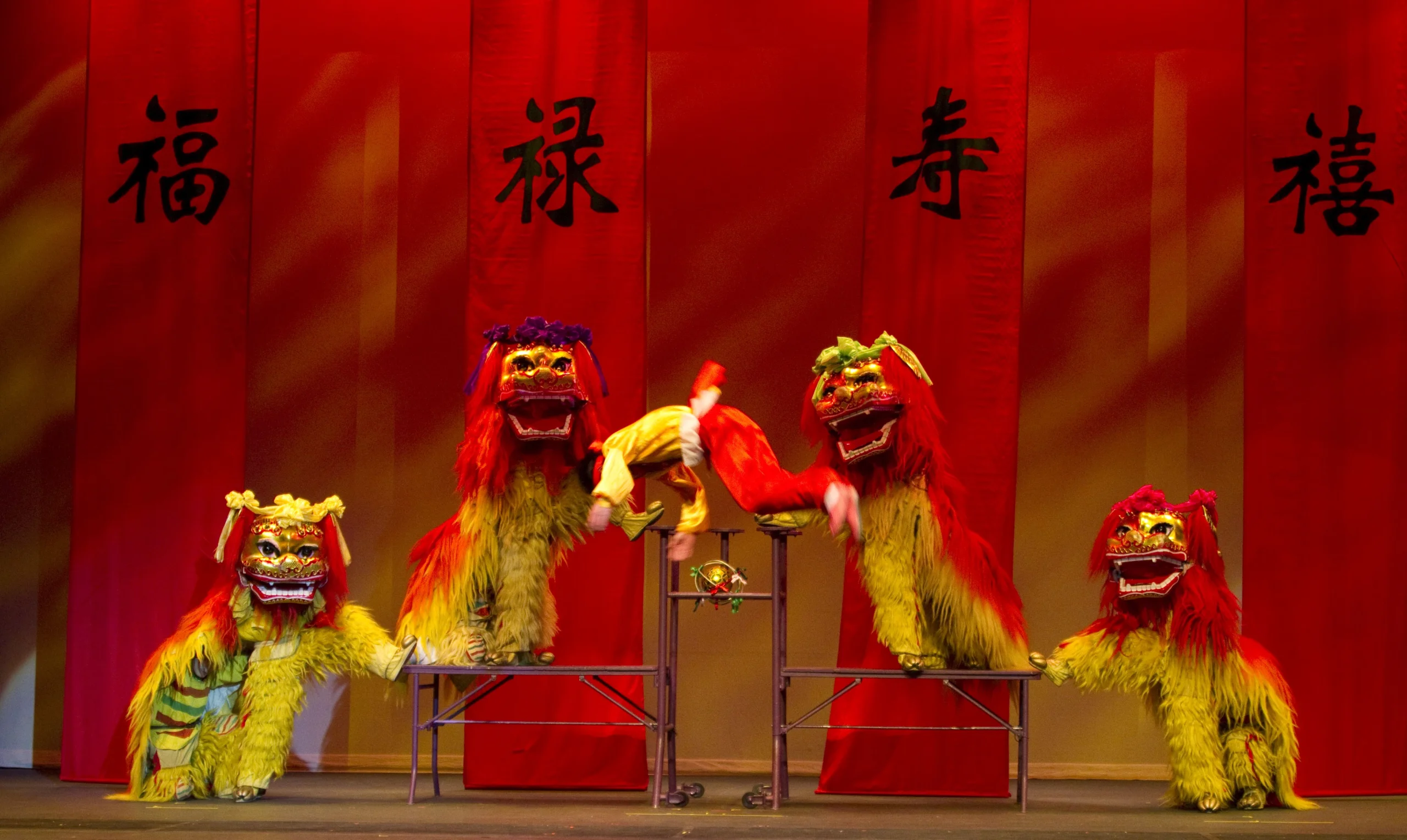 Peking dragons rest on a multi-level platform with acrobats makes a flip in the air.
