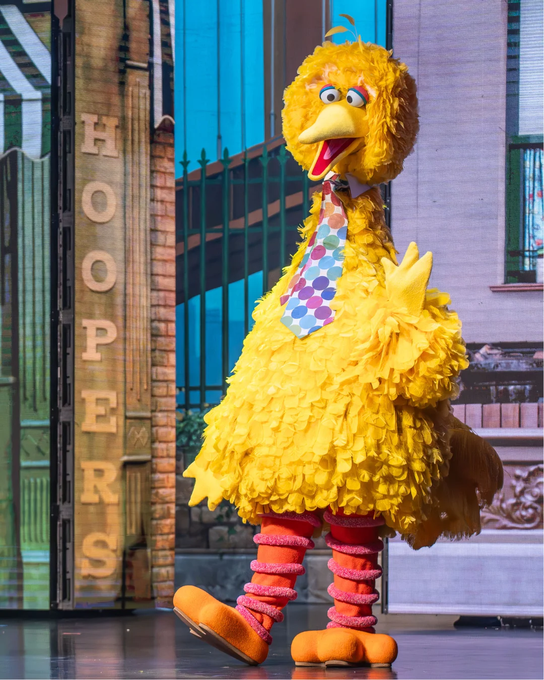 Big Bird on stage.