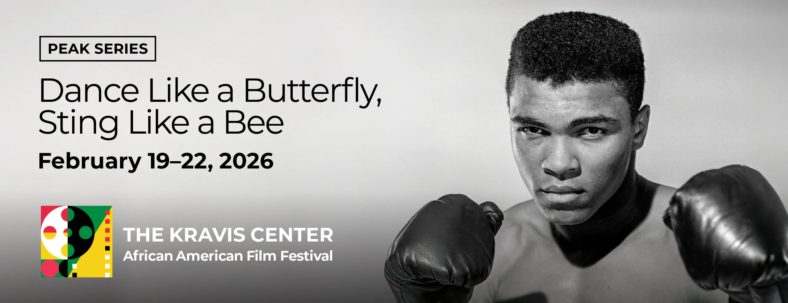 AFRICAN AMERICAN FILM FESTIVAL