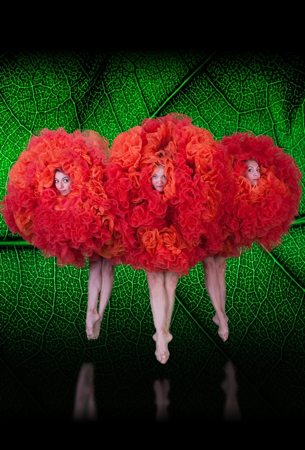 Botanica performers in red flower-inspired costumes set against a green leaf backdrop.